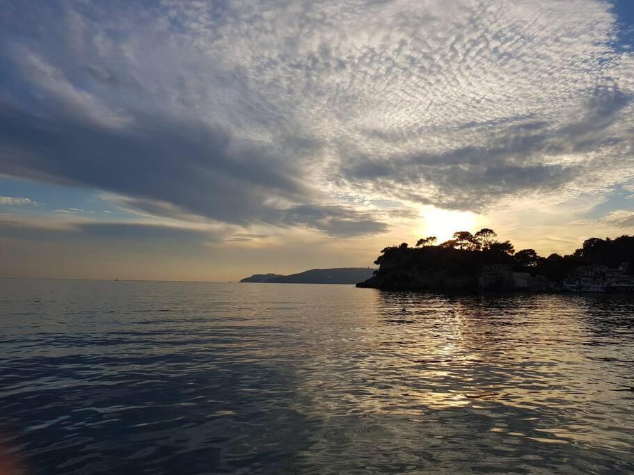 Villa Contemporaine F5 Cote Azur Ollioules Calme Екстер'єр фото
