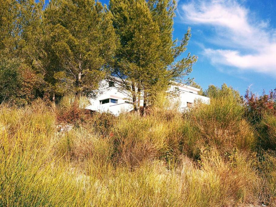 Villa Contemporaine F5 Cote Azur Ollioules Calme Екстер'єр фото